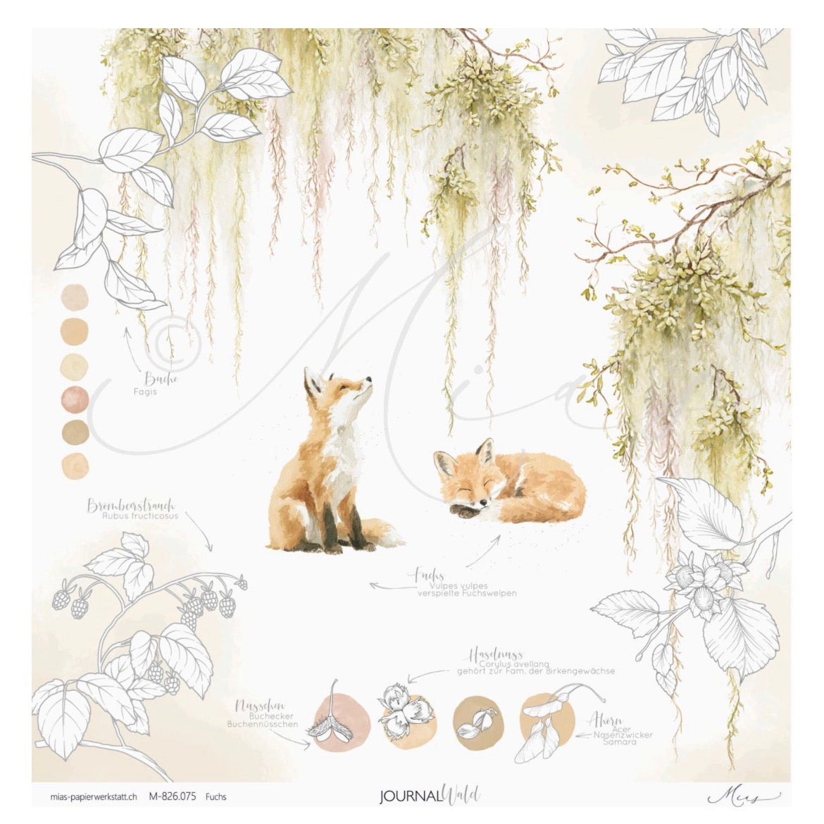 Fuchs – Journal Wald