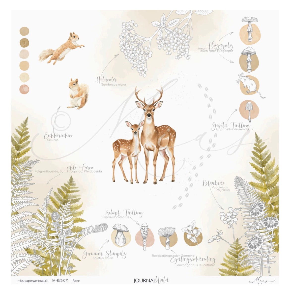 Farne – Journal Wald