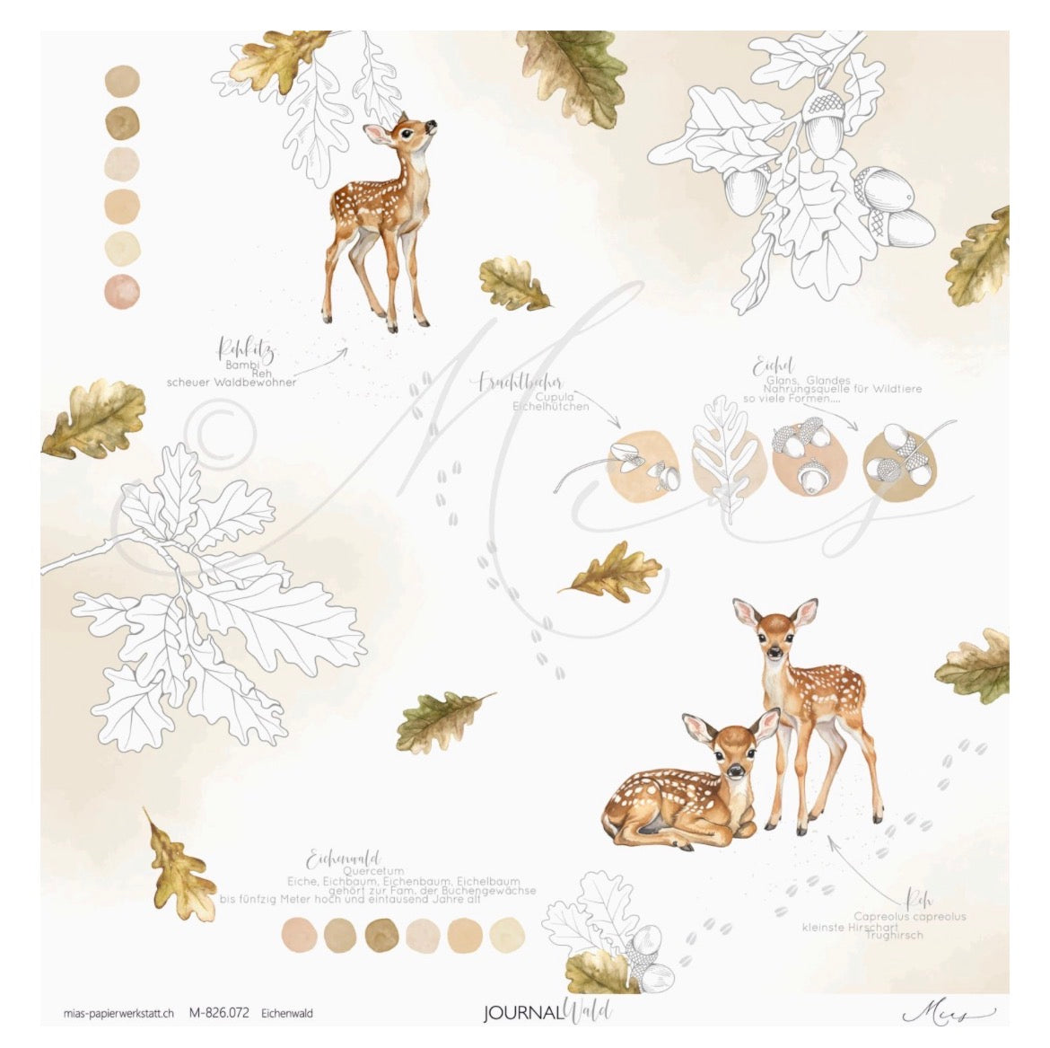 Eichenwald – Journal Wald
