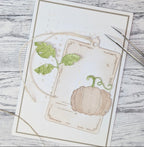 Stanze - Old Pumpkin