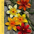 Faltblume 39 Mini