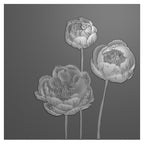 Prägefolder -Mohn