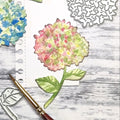 Gummiapan: Hortensie