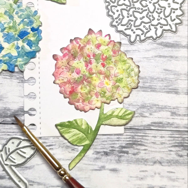 Gummiapan: Hortensie