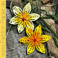 Faltblume 39 Mini