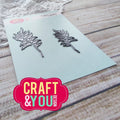 Polypody Set 2