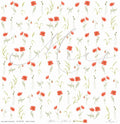 Mohn in Reihen – Blüten am Feldrand