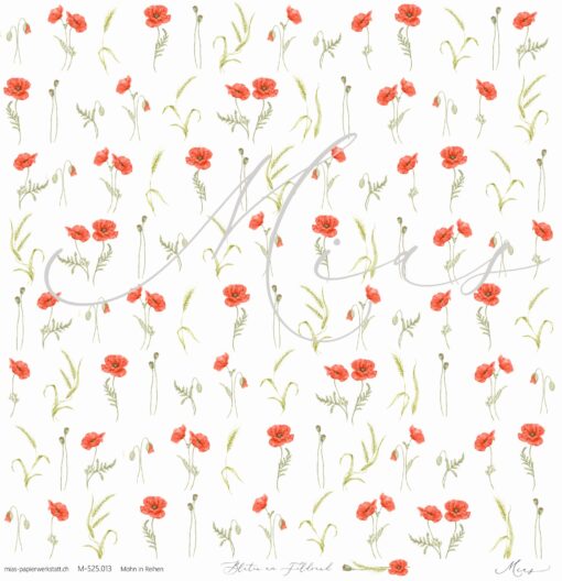 Mohn in Reihen – Blüten am Feldrand