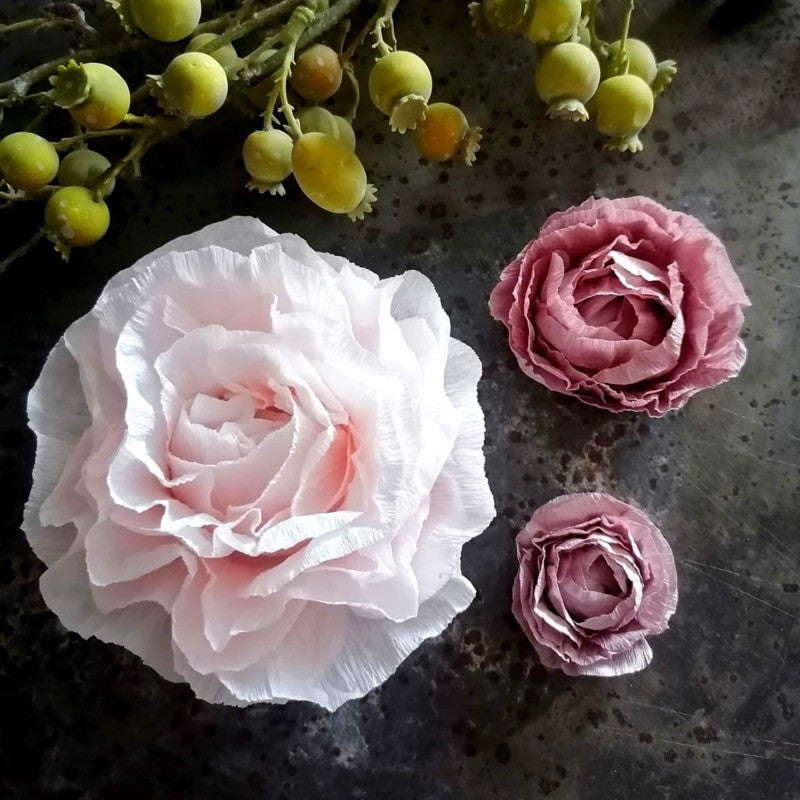 Stanze für Kreppblume / 412 L