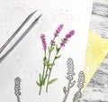 Gummiapan: Lavendel