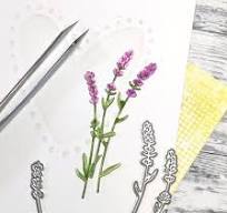 Gummiapan: Lavendel