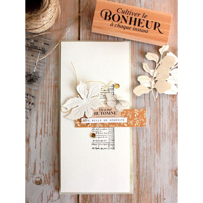 Texture Herbarium - Stempel