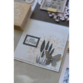 Stempel: Pampa