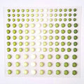 Enamel Dots „Kräutergarten“