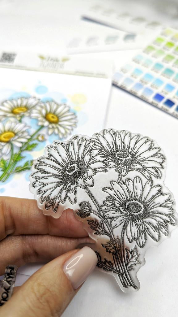Kamillen Blüten - Stempel