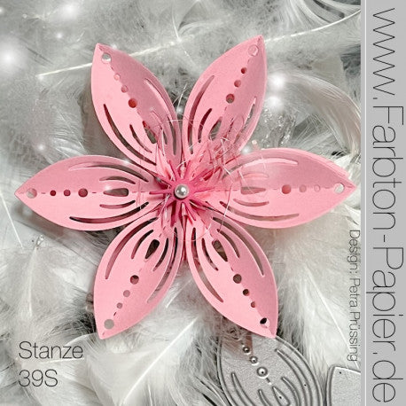 Faltblume 39 S