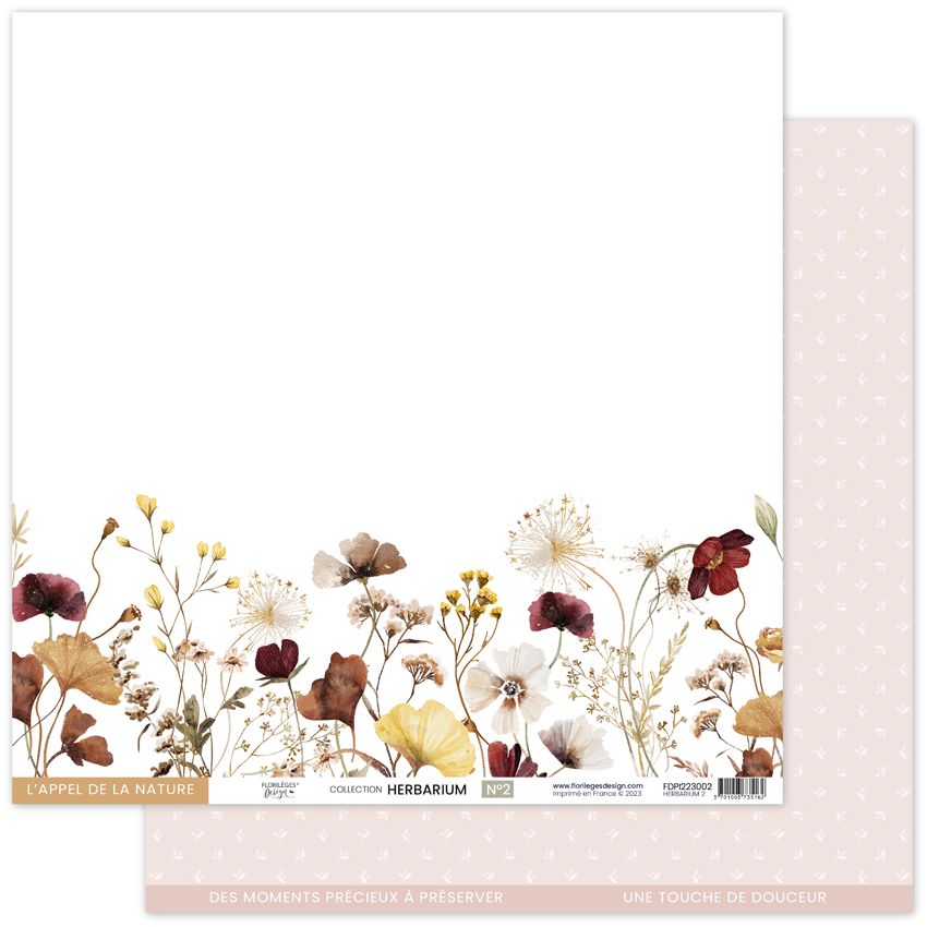 Papier: HERBARIUM 2