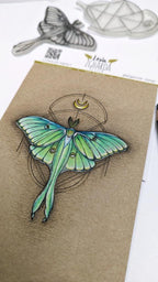 Luna Motte - Stempel