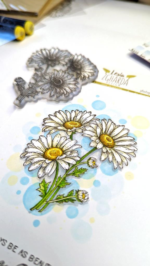 Kamillen Blüten - Stempel