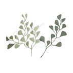 Stanzenset ‚Ginkgo - Ast‘