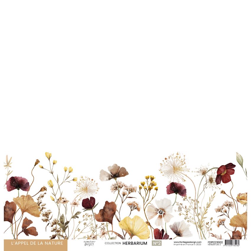 Papier: HERBARIUM 2